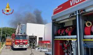 incendio decathlon