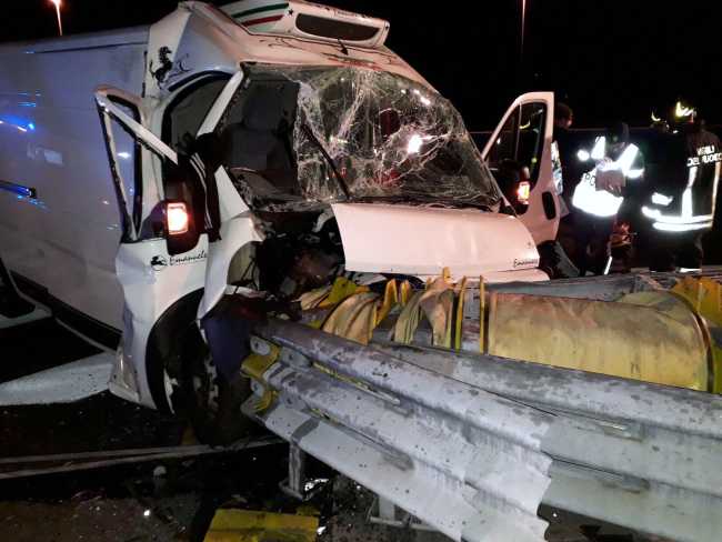 incid svinc biandrate