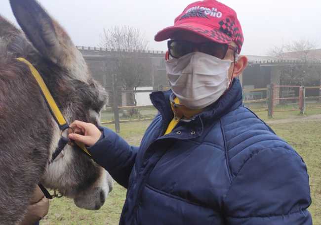 interventi assistiti asini