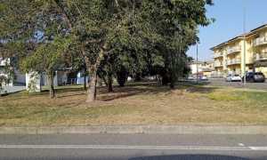 interventi verde trecate