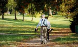 invecchiamento attivo