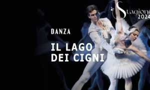 lago cigni