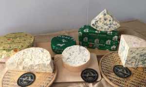 latteria cameri premi