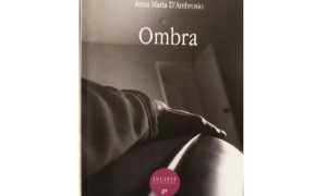 libro ombra