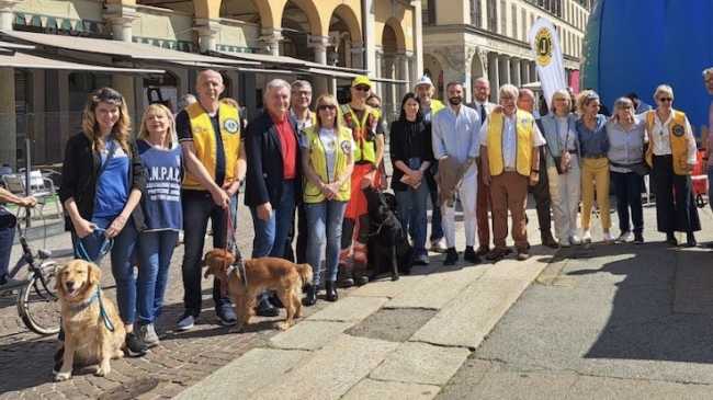 lions cani non vedenti