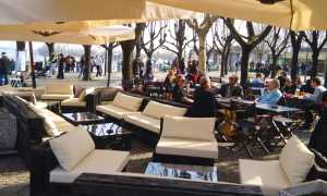 liquid bar arona