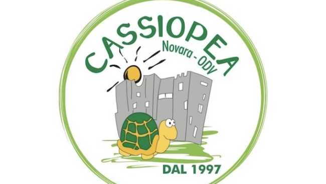 logo cassiopea novara