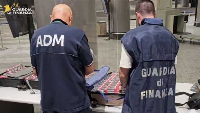 mlpx contrabbando ago 25