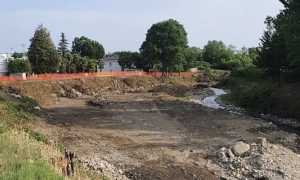 momo agogna consolidamento