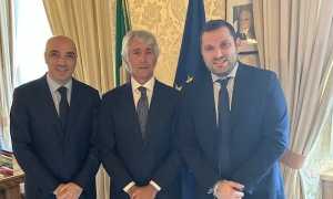 nastri abodi de grandis 2