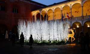 natale 24 1