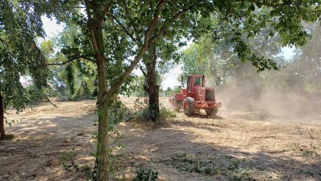 novara bonifica ambrosia via p generali