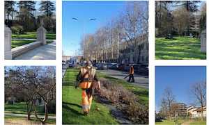 novara interventi manutenz verde