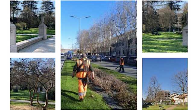 novara interventi manutenz verde