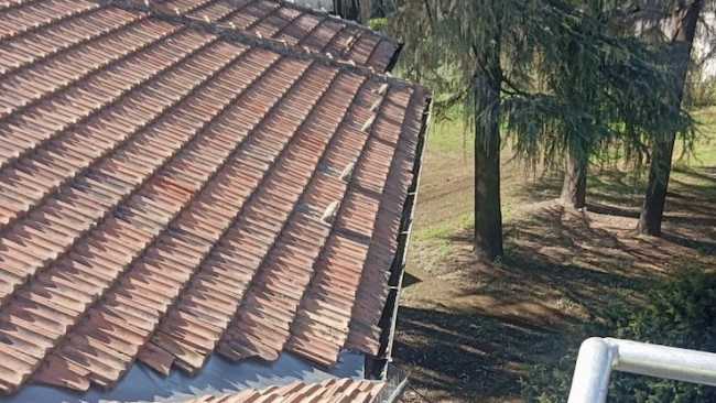 novara liceo coreutico canali