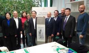 novara sviluppo jinjing