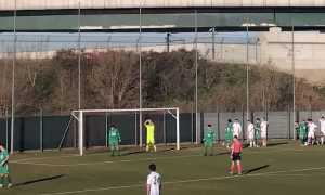 novaromentin gozzano 25