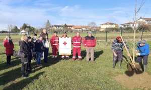 oleggio ricordato volontario cri