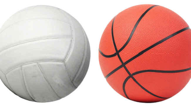 palloni volley basket