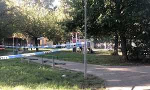 parchetto aggressione 2