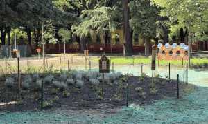 parco golgi oasi biotech novara