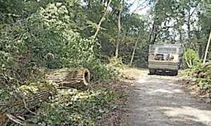 parco ticino sistemazione