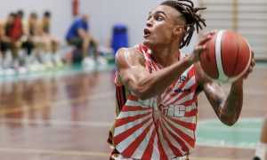 perez oleggio magic basket