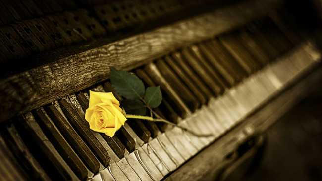 pianoforte rosa