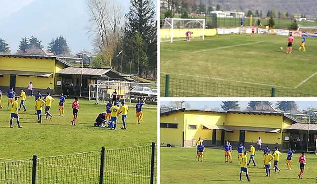 piedimulera sparta mix