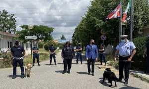 polizia municipale novara nucleo tutela