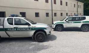 polizia provinciale