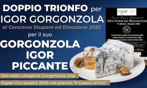 premio igor gorg nov 25