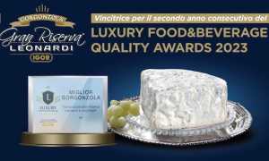 premio luxury igor