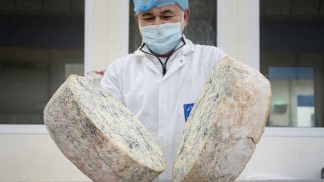produzione gorgonzola dop 