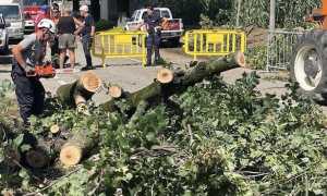 provincia ringraziamenti