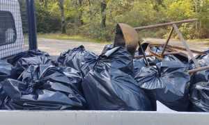 puliamo trecate sacchi