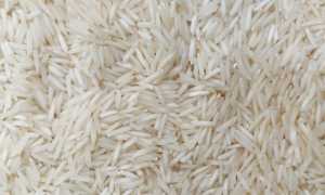 riso basmati