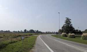 rotatoria cameri sp 2