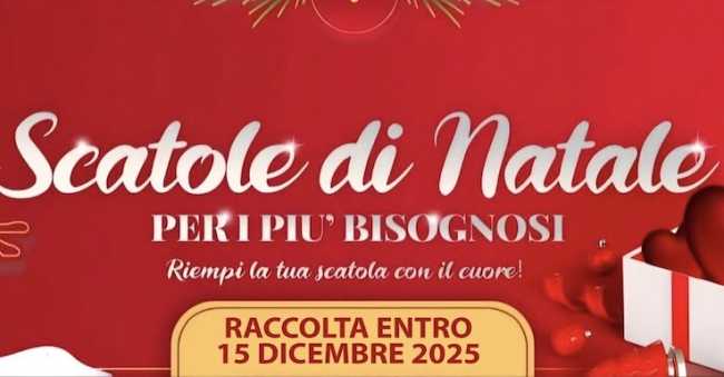 scatole natale novara 25