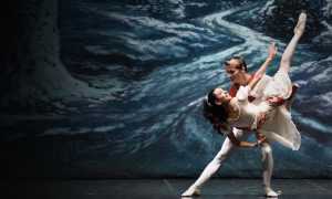 schiaccianoci coccia