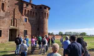 smart walking foto 2