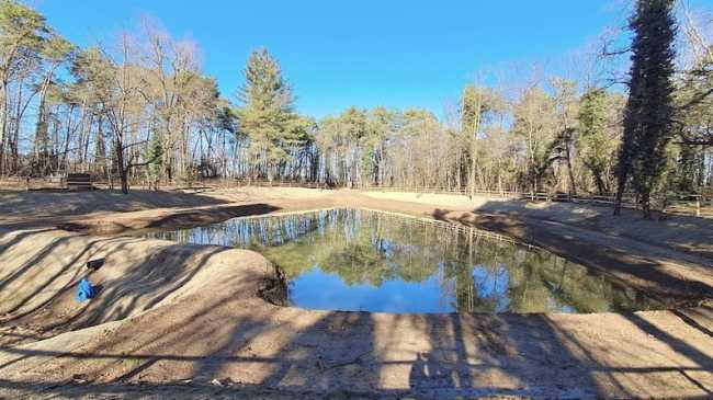 stagno ripristino cameri