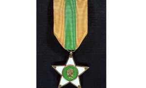 stella merito lavoro