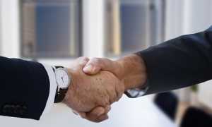 stretta di mano