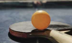 tennis tavolo foto
