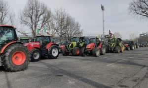 trattori stadio piola
