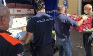 trecate cibo caritas