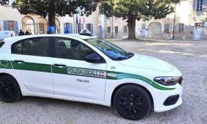 trecate polizia locale auto giorno