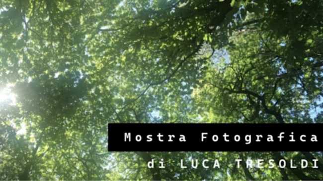 tresoldi mostra
