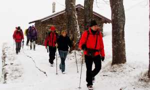 trotapian neve rosso